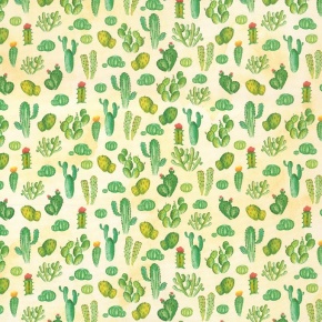 Ursus fotókarton, 50x70cm, 300g/m2, kaktuszok