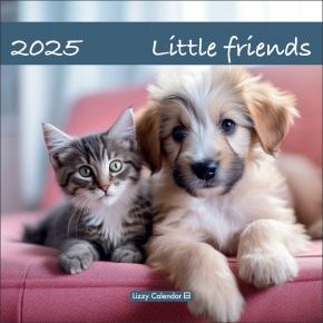 Lizzy Falinaptár lemez nagy, Little friends (2025)