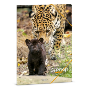Ars Una A4 Gumis mappa Serenity-jaguar (5334) 23