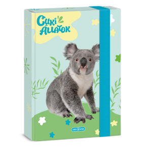 Ars Una A5 füzetbox Cuki-Koala (5428) 24