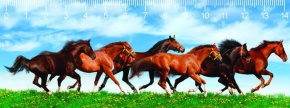 Mapcards 3D vonalzó 14cm, vágtázó lovak