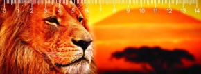 Mapcards 3D vonalzó 14cm, oroszlán, Kilimanjaro