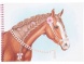 TOPModel matricás album, Miss Melody Style your horse