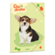 Ars Una A4 Gumis mappa Cuki-Welsh Corgi (5432) 24