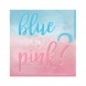 Amscan szalvéta 33x33cm, 2-rétegű, 16 db, Boy or Girl, blue or pink