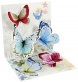 Popshots képeslap, négyzet, színes pillangók,Butterflies of spring